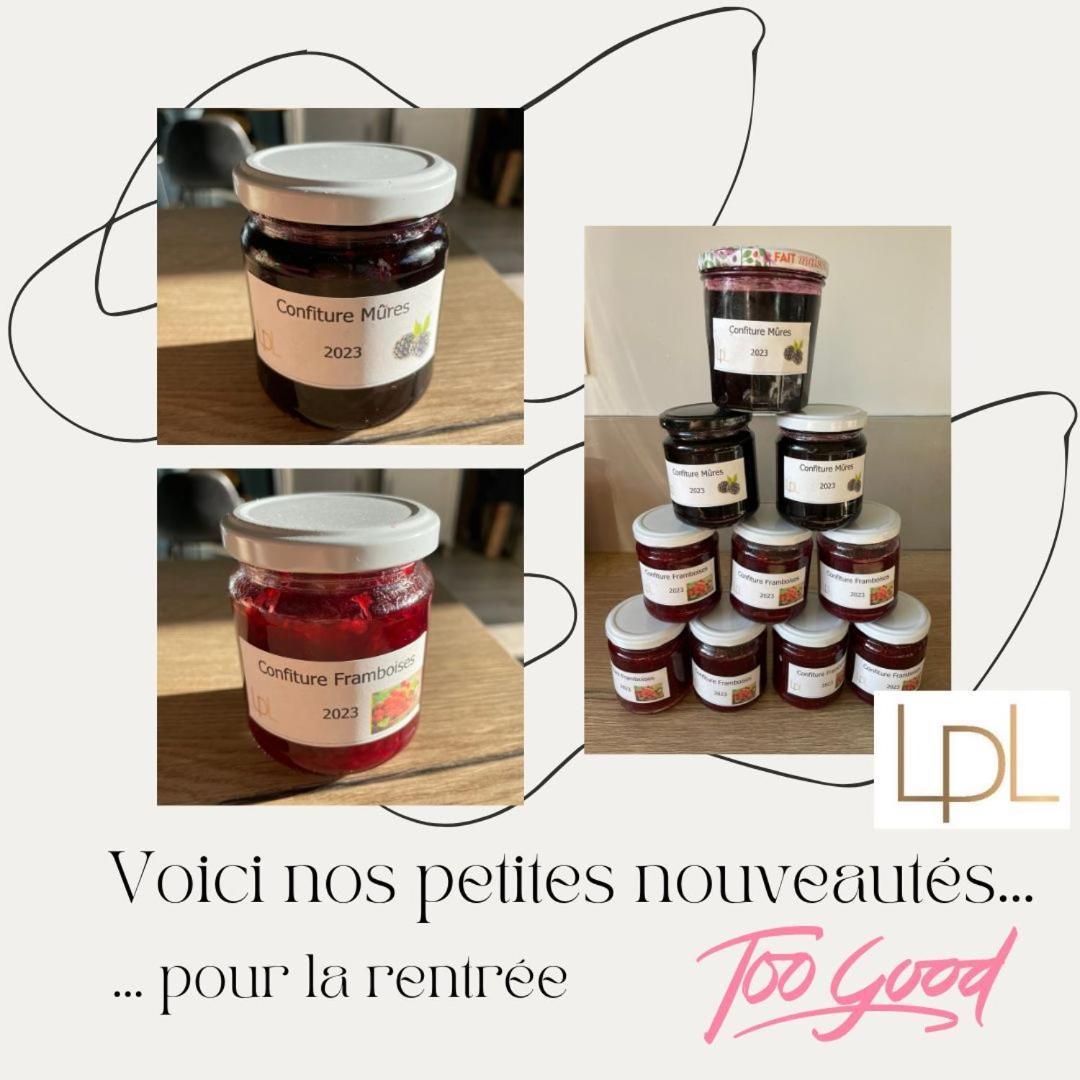 Logis De Pierre Levee Bed & Breakfast Bessines Exterior foto
